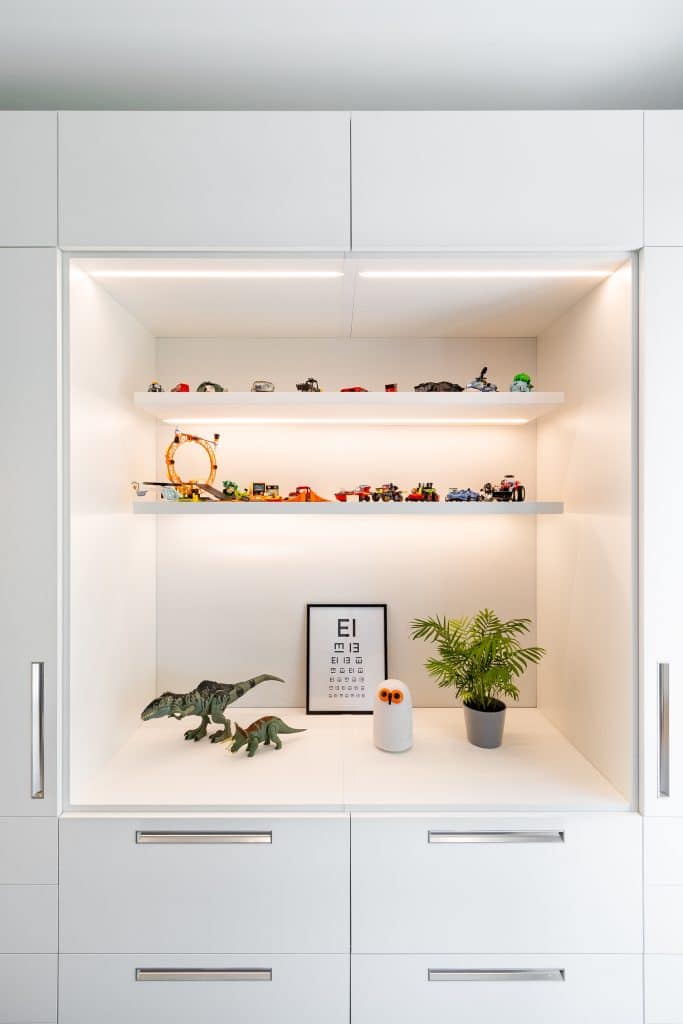 Leikkikalut ja kasvi hyllyllä.